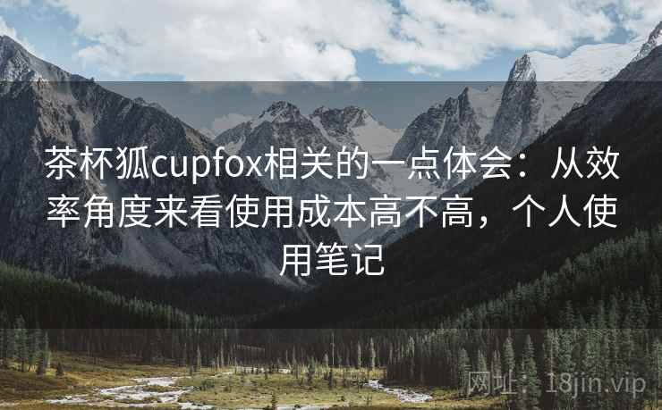茶杯狐cupfox相关的一点体会：从效率角度来看使用成本高不高，个人使用笔记