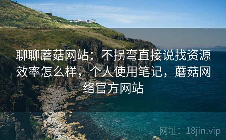 聊聊蘑菇网站：不拐弯直接说找资源效率怎么样，个人使用笔记，蘑菇网络官方网站